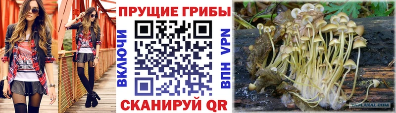 Псилоцибиновые грибы Magic Shrooms  Тырныауз 